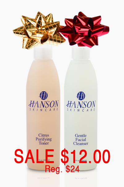 Cleanser/Toner Package Cleanser/Toner Package